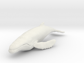 humpback whale middle size (color) in White Natural Versatile Plastic