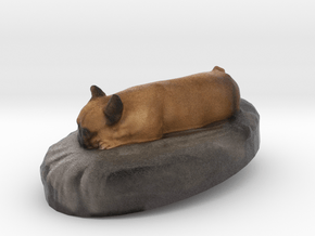 Louis The Frenchie in Full Color Sandstone