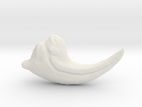 Allosaurus Claw in White Natural Versatile Plastic