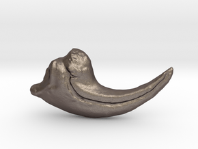 Allosaurus Claw in Polished Bronzed Silver Steel