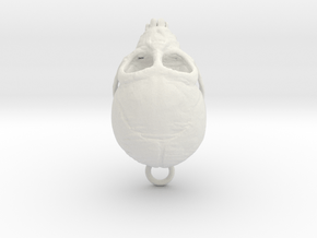 Spider Monkey Skull 43mm in White Natural Versatile Plastic