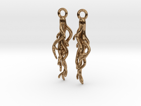 Plant Root Earrings - Science Jewelry in Polished Brass