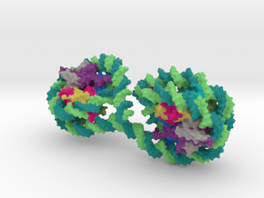 Tetranucleosome in Full Color Sandstone