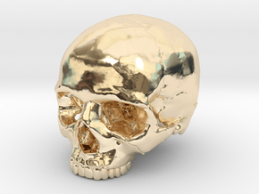 Skull    30mm width in 14k Gold Plated Brass
