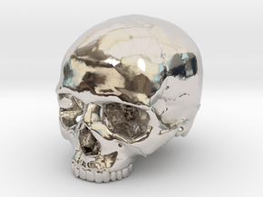 Skull    30mm width in Rhodium Plated Brass