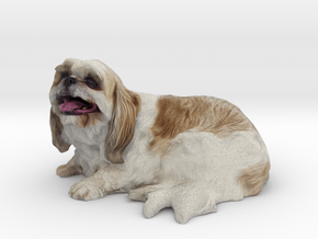 Shih Tzu 001 150mm in Full Color Sandstone