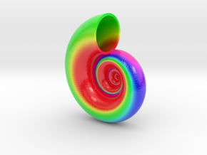 Seashell Tangent 01 Color Sculpture in Glossy Full Color Sandstone