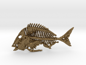 Littlehead Porgy Fish Skeleton Pendant in Natural Bronze