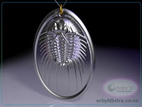 Aspidonia Trilobite Fossil pendant ~ 48mm tall in Polished Silver