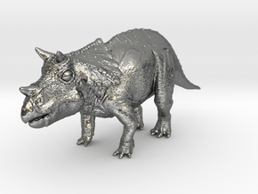 Triceratops Baby(Small/Medium-color size) in Polished Silver: Small