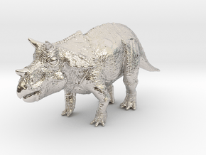 Triceratops Baby(Small/Medium-color size) in Rhodium Plated Brass: Small