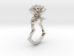 A Bewitching in Rhodium Plated Brass