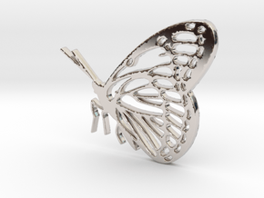 Butterfly in Rhodium Plated Brass