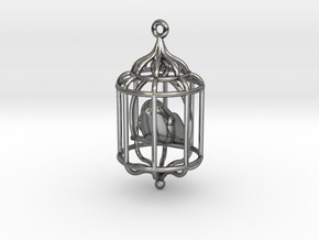 Bird in a Cage Pendant 02 in Polished Silver (Interlocking Parts)