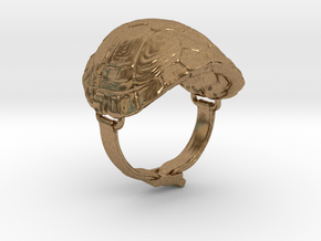 Turtle Ring in Natural Brass: 8 / 56.75