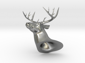 White Tail Deer Mount in Natural Silver