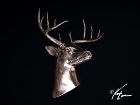 White Tail Deer Mount in Natural Bronze