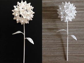 Dandelion Math Art in White Natural Versatile Plastic