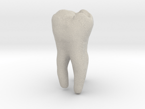 Molar Tooth 200mm-1 ---Backenzahn 200mm-1 in Natural Sandstone