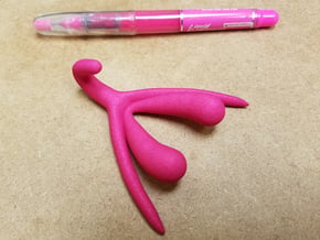 Life-scale Clitoris and Bulbs in Pink Processed Versatile Plastic