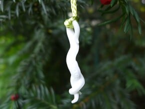 Caenorhabditis Ornament - Science Gift in White Processed Versatile Plastic
