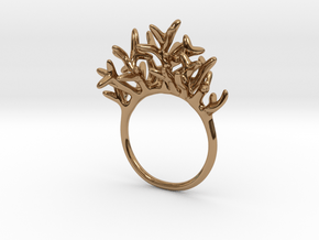 Ring Arboreus in Polished Brass: 5 / 49