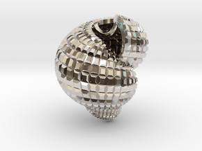Shell n°1 in Rhodium Plated Brass