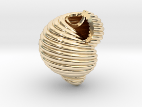 Shell n°2 in 14k Gold Plated Brass