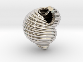 Shell n°2 in Rhodium Plated Brass