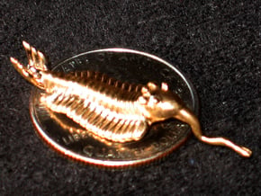 Opabinia - Small in Natural Bronze