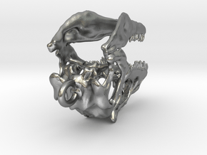 Allosaurus Dinosaur Skull Pendant in Natural Silver
