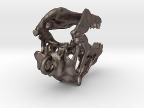 Allosaurus With Loop 35mm 1 in Polished Bronzed Silver Steel