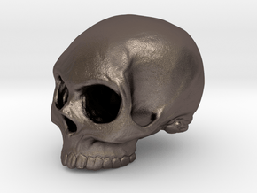 Skull in Polished Bronzed Silver Steel