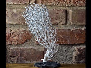 Coral I  (Minimum spanning tree) in White Natural Versatile Plastic