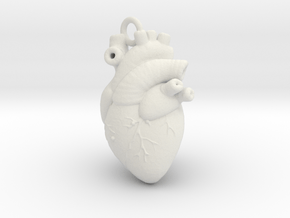 Anatomical human heart in White Natural Versatile Plastic