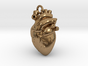 Anatomical human heart in Natural Brass
