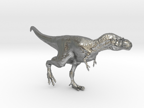Gorgosaurus (Small/Medium size) in Natural Silver: Small