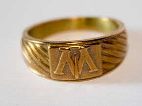 Harry Potter: 'Pure-Blood All The Way' Horcrux Ring Display - Merchoid