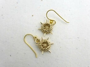 Spumellaria Earrings - Science Jewelry in Polished Brass