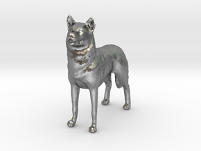 1/24 or G scale Siberian Husky Male Standing in Natural Silver
