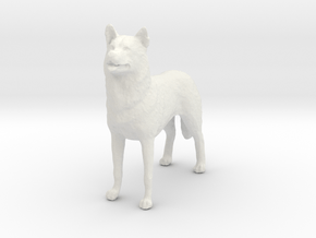 1/24 or G scale Siberian Husky Male Standing in White Natural Versatile Plastic