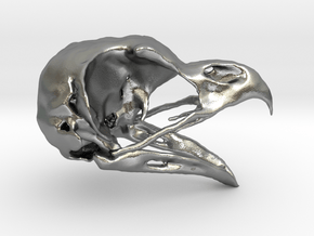 Great Horned Owl Skull - Life sized in Natural Silver