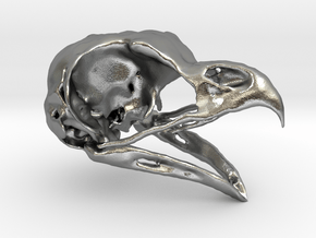Great Horned Owl Skull in Natural Silver