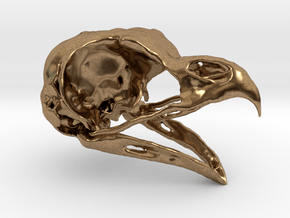Great Horned Owl Skull in Natural Brass