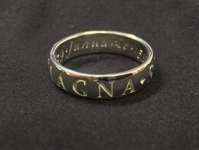 Size 8 Sir Francis Drake, Sic Parvis Magna Ring in Fine Detail Polished Silver