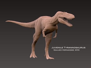 Juvenile Tyrannosaurus " Jane " 1:72 v1 in White Natural Versatile Plastic
