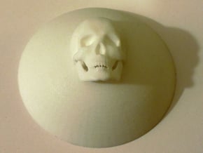 Skullcenters in White Natural Versatile Plastic