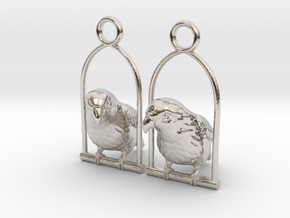 Lovebird Earrings in Rhodium Plated Brass