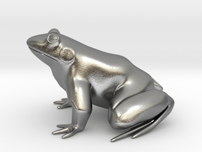 Frog, solid in Natural Silver