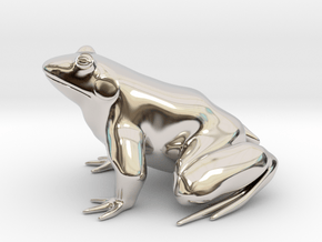 Frog, solid in Rhodium Plated Brass
